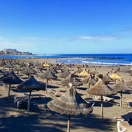 Seaview Near The Playa de las Americas (Tenerife)